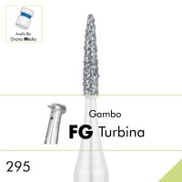 295.FG