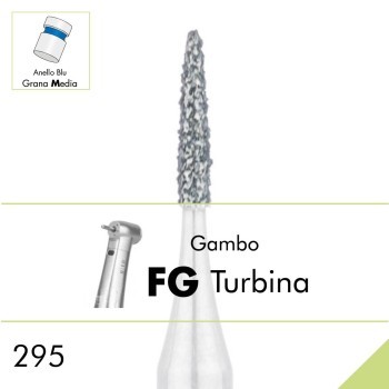 295.FG