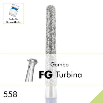 558.FG