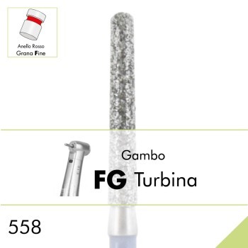 558F.FG