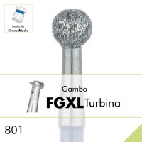801.FGXL