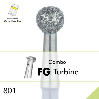 801EF.FG
