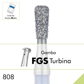 808.FGS