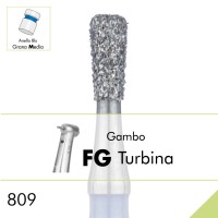 809.FG