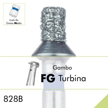 828B.FG