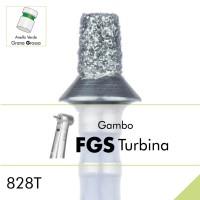 828TG.FGS