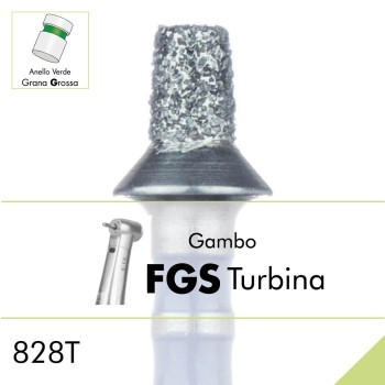 828TG.FGS