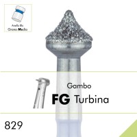 829.FG
