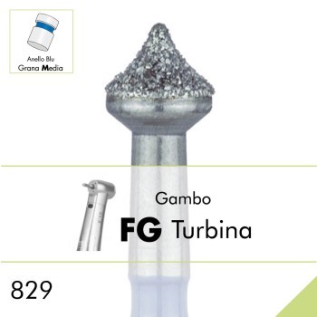 829.FG