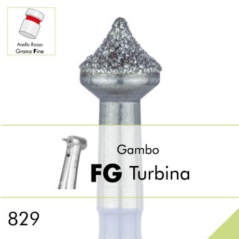 829F.FG