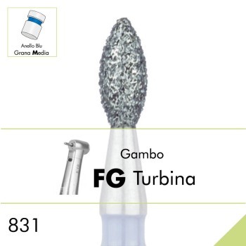 831.FG