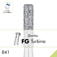 841.FG