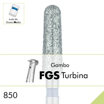 850.FGS