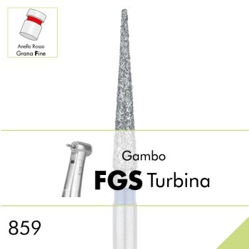 859F.FGS