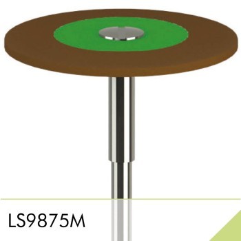 LS9875M