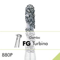 880P.FG