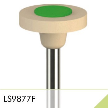 LS9877F