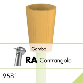 9581.RA
