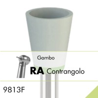 9813F.RA