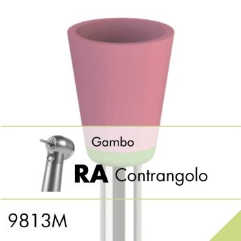 9813M.RA