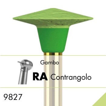 9827.RA