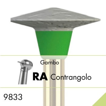 9833.RA