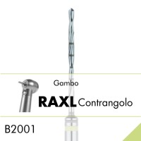 B1001.RAXL