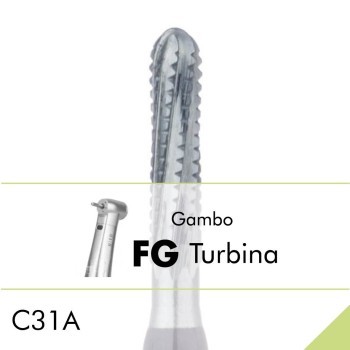C31A.FG