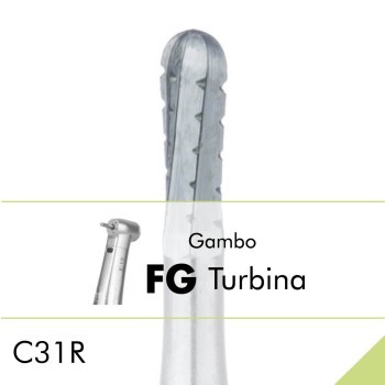 C31R.FG