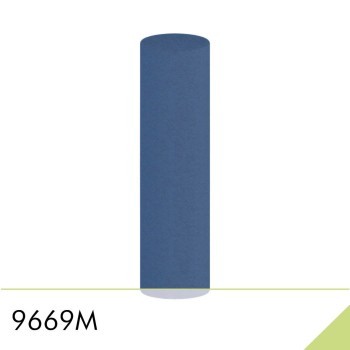 9669M