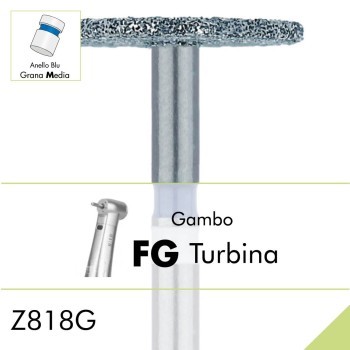 Z818G.FG