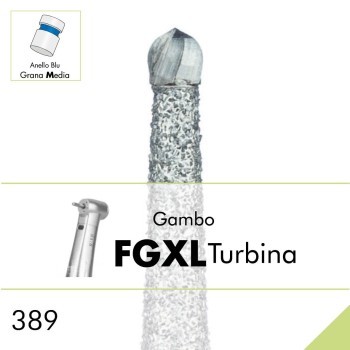 389.FGXL
