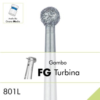801L.FG