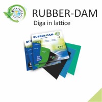 Diga in lattice
