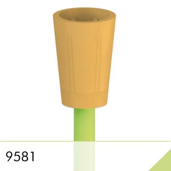 9581